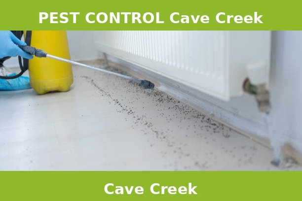 PEST CONTROL Cave Creek